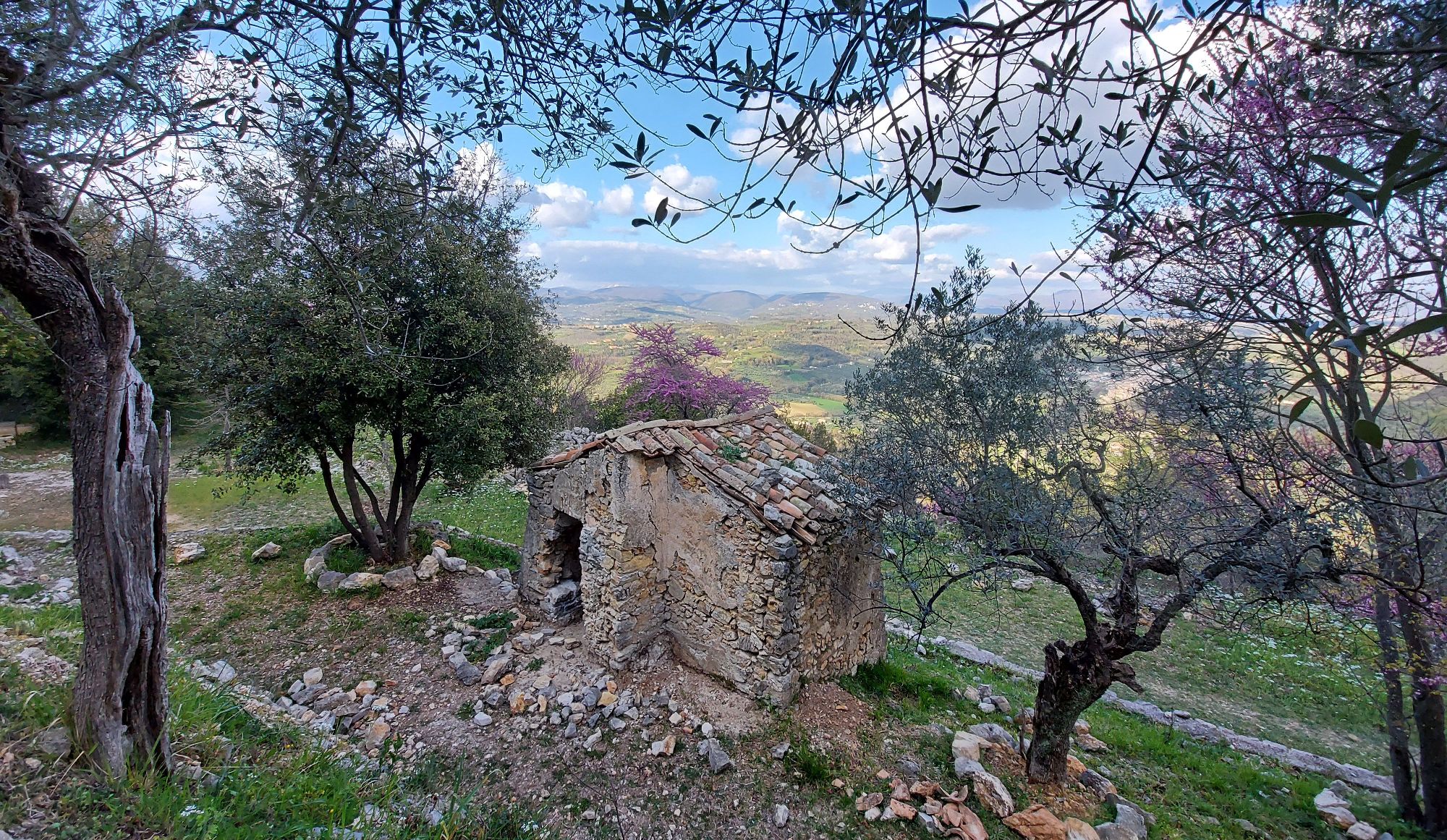 immagine sfondo