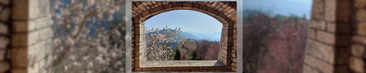 immagine sfondo